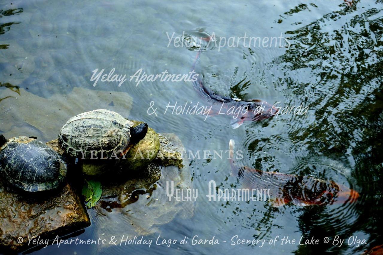 Yelay Apartments & Holiday Lago Di Garda Raffa Extérieur photo