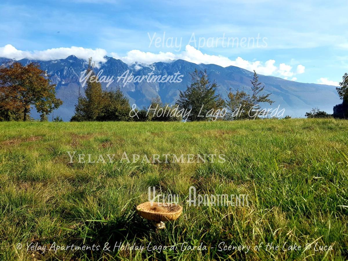 Yelay Apartments & Holiday Lago Di Garda Raffa Extérieur photo